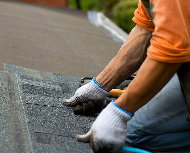 Reliable Elkins, WV Roofing Contractor Solutions